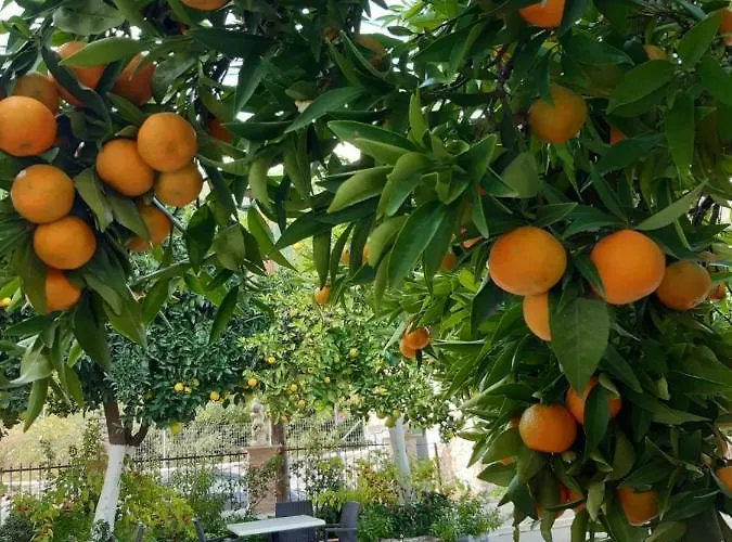 Christina Casa de hóspedes